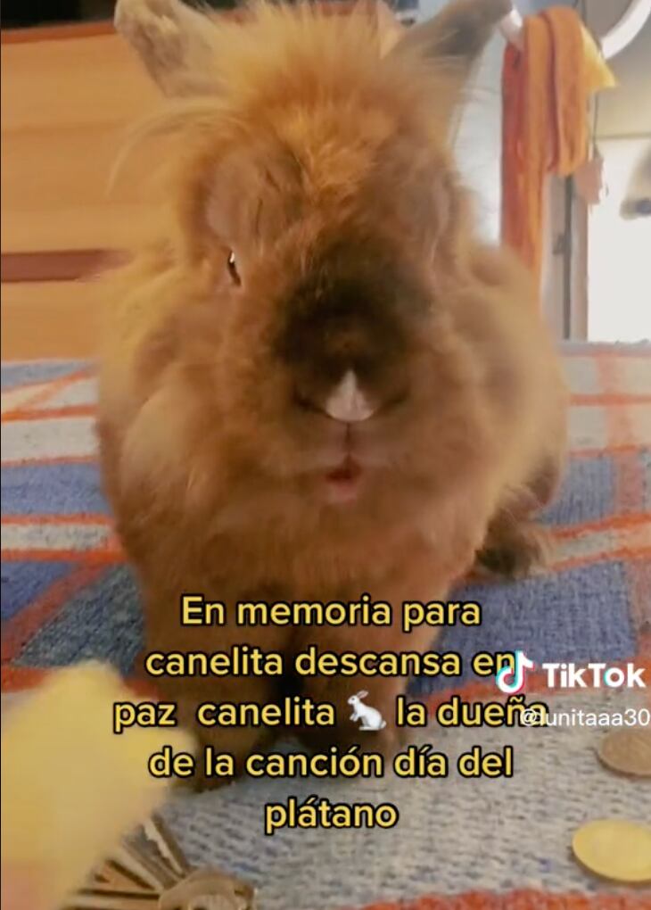 Canelita, dueña de la canción "Día del plátano"