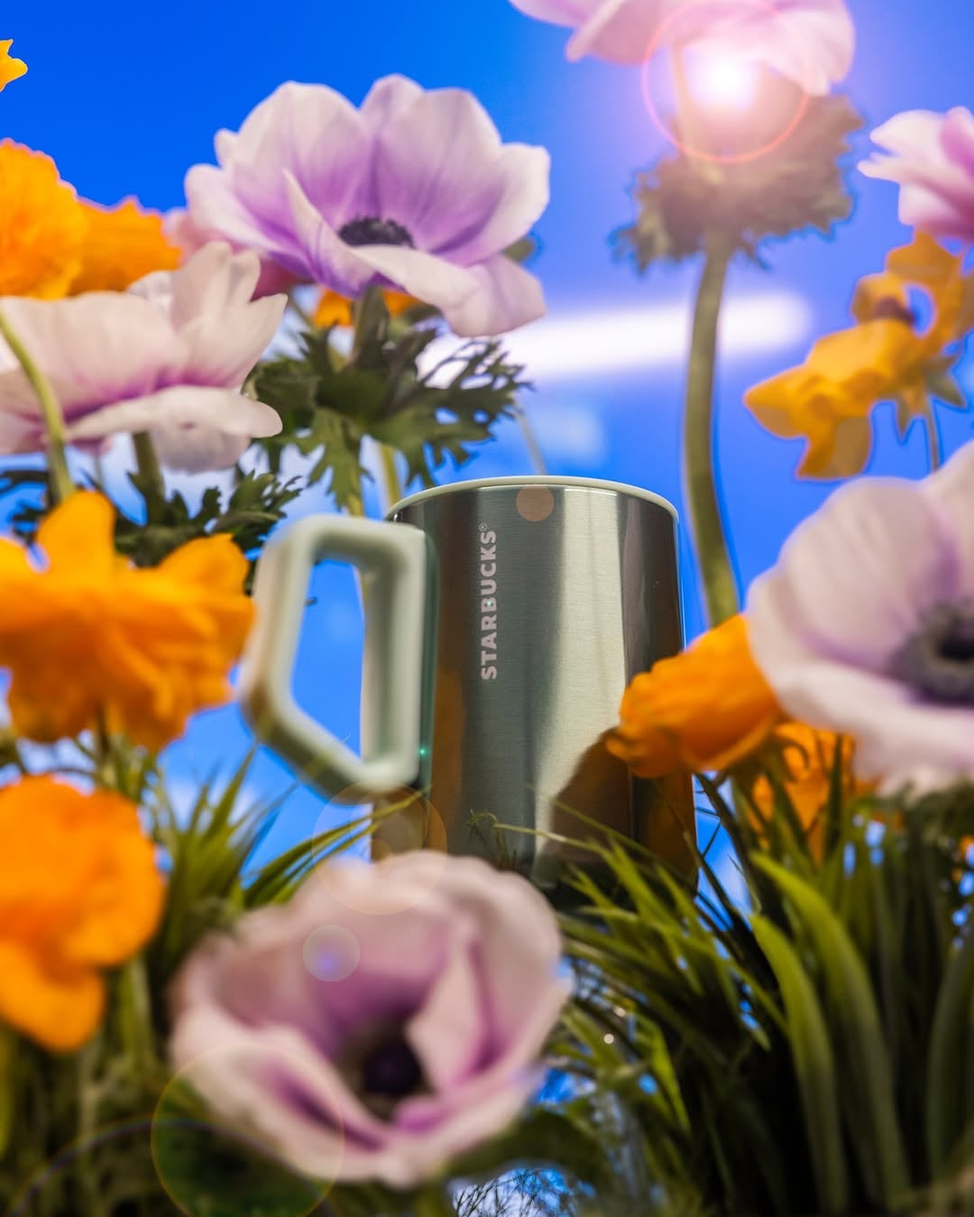 Vasos y termos de Starbucks: Colección primavera 2025