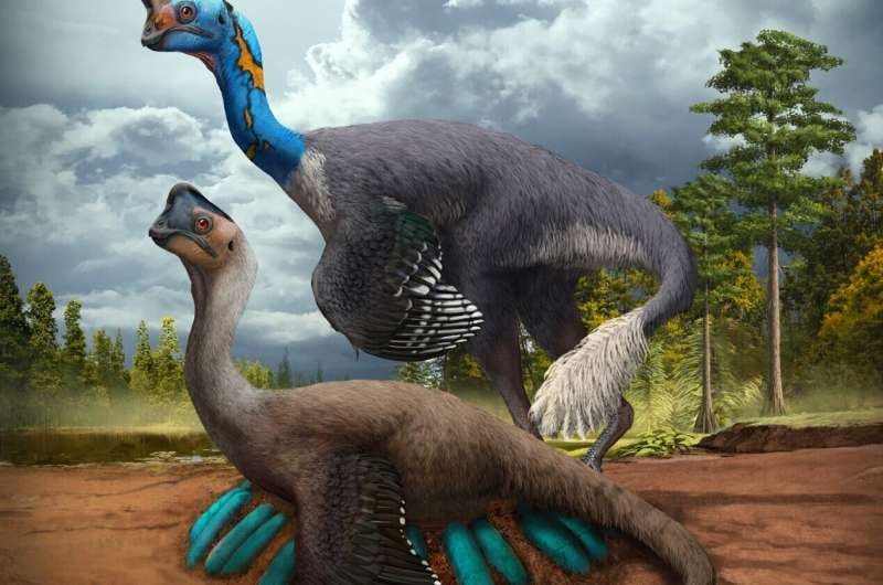 Ovirraptosaurio