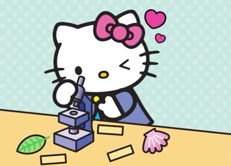 Dibujos de Hello Kitty científica para colorear