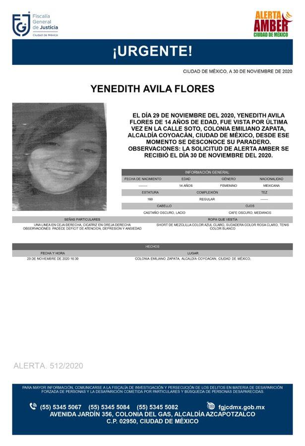 Ficha de búsqueda de Yenedith