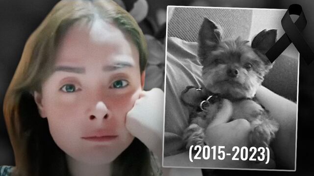 Maryfer Centeno reveló que su perrito Yorkie ha muerto