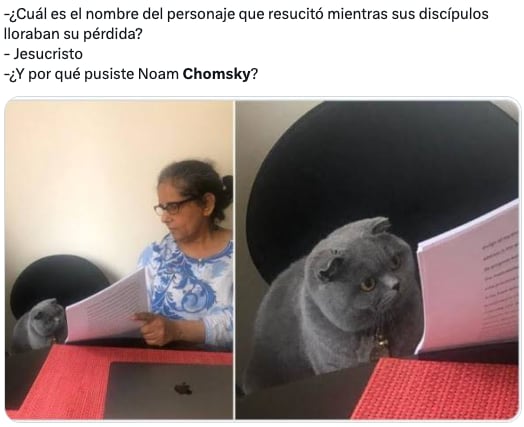 Los memes de la muerte falsa de Noam Chomsky