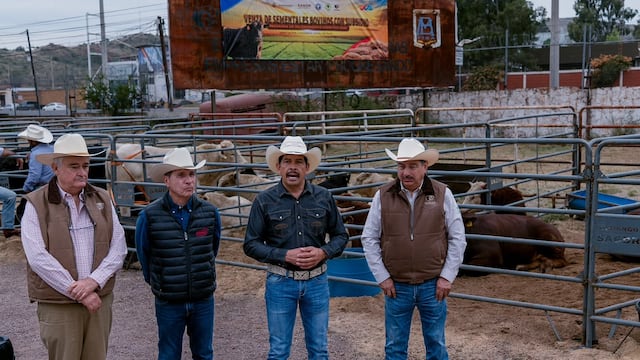 Durango impulsa la genética ganadera con apoyos para sementales de registro.
