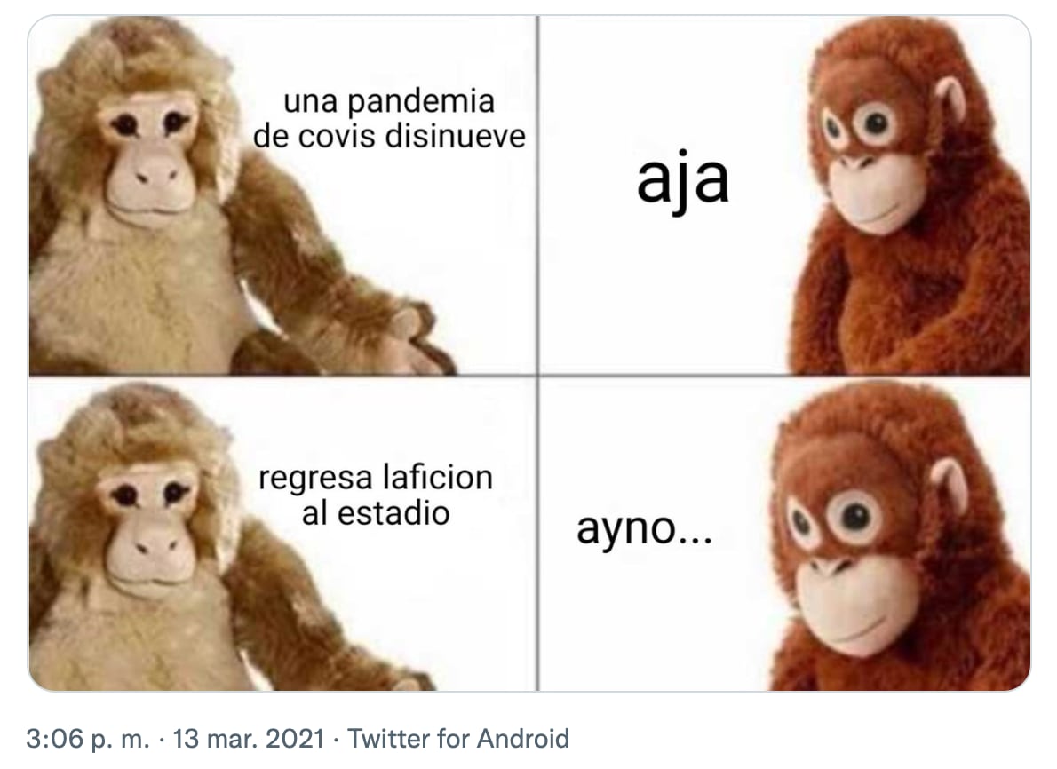 Meme del orangután 'Lupe'