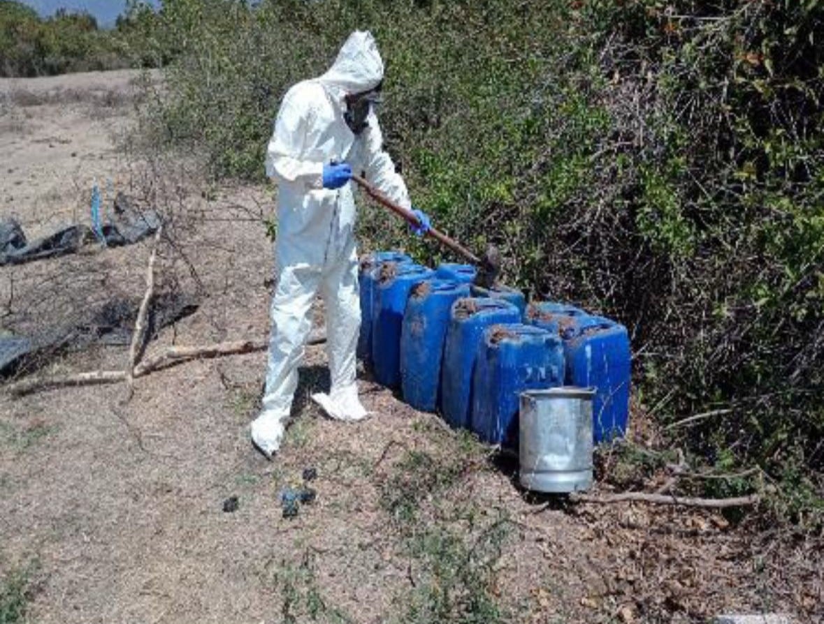 Culiacán, 22 de marzo 2025