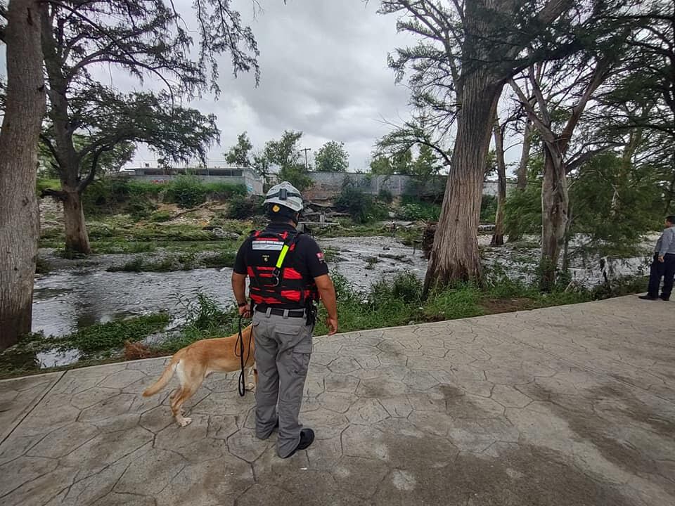 Protección Civil busca a María Clara, quien fue arrastrada por la corriente del río La Silla la noche del 27 de junio
