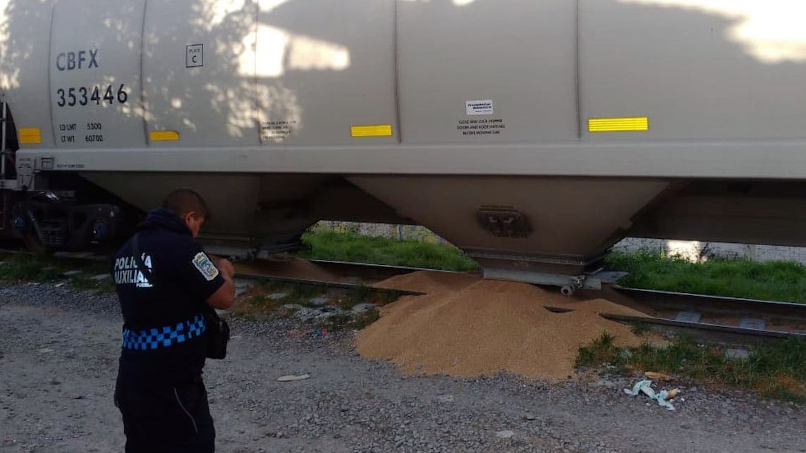 Trigo tirado en San Pablo Xochimehuacan