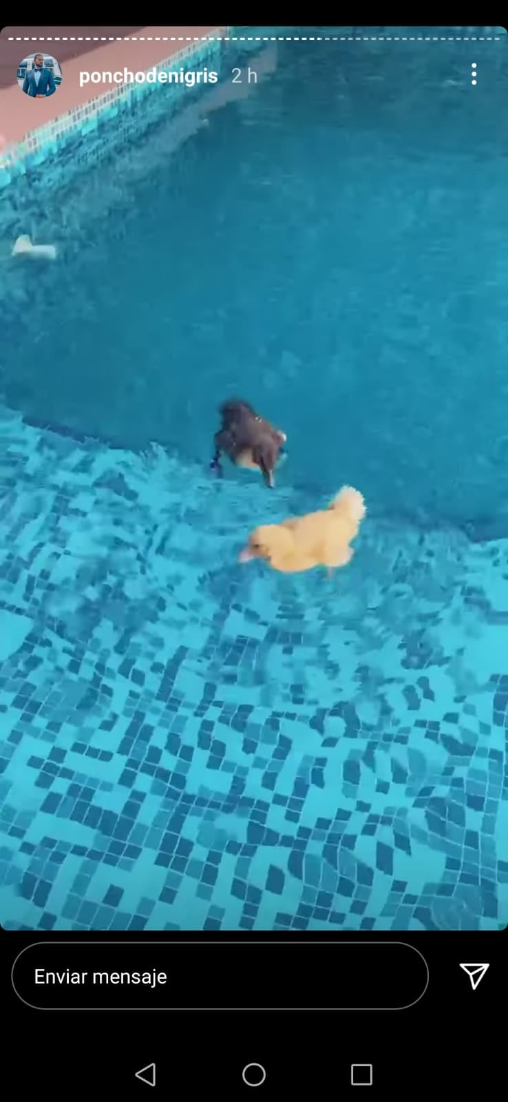 Historia de Instagram