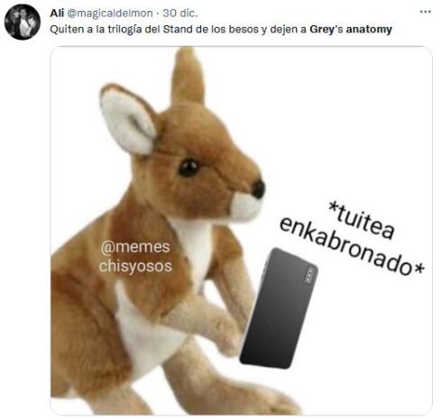 Grey’s Anatomy sale de Netflix, memes