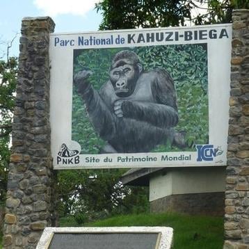 Parque nacional Kahuzi-Biega