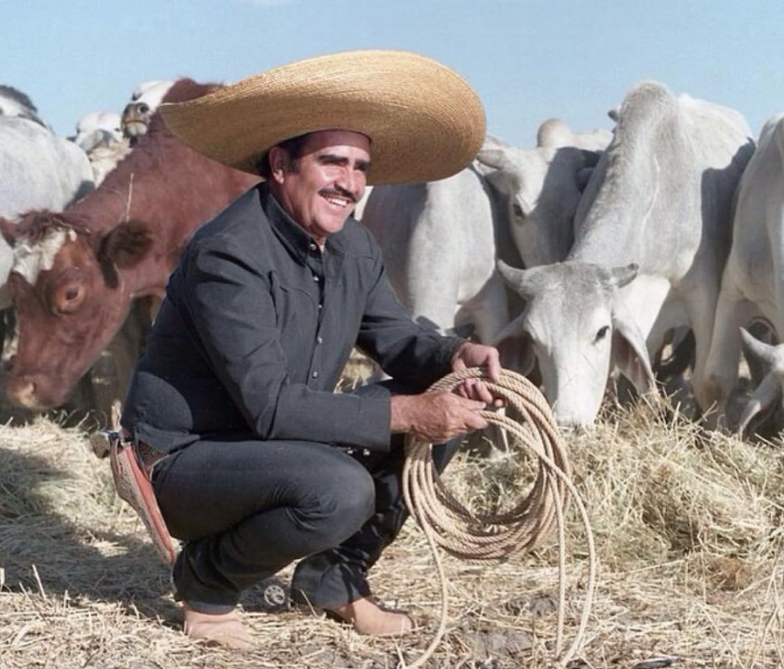 Vicente Fernández