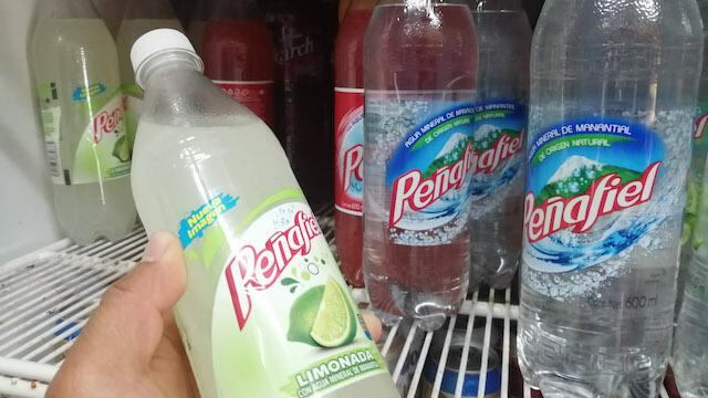 Refrigerador con productos Peñafiel.