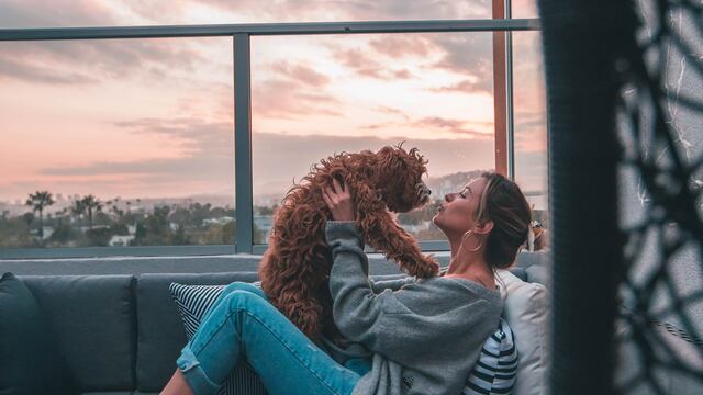 Los animales de compañía son un gran apoyo para las personas con padecimientos emocionales crónicos.