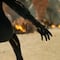 Funko Pop habría filtrado máscara de Black Panther 2 pero no al protagonista
