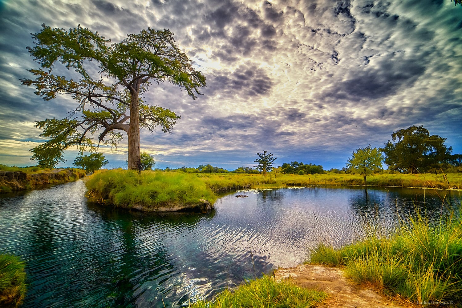 San Luis Potosí aprueba el Plan de Manejo del Manantial Los Peroles como Área Destinada Voluntariamente a la Conservación.