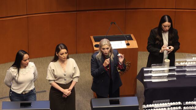 La senadora Verónica Camino en la sesión ordinaria del pleno de la Cámara de Senadores durante el proceso público de insaculación con que se definirán la mitad de los puestos en disputa en el Poder Judicial Federal