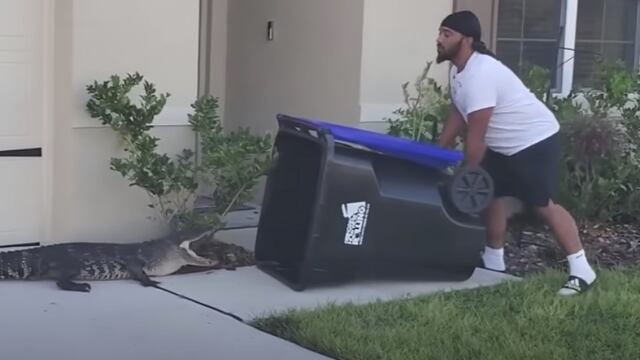 Captura del cocodrilo