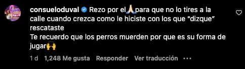Consuelo Duval le reprocha a Federica Quijano que abandonó a uno de sus perros