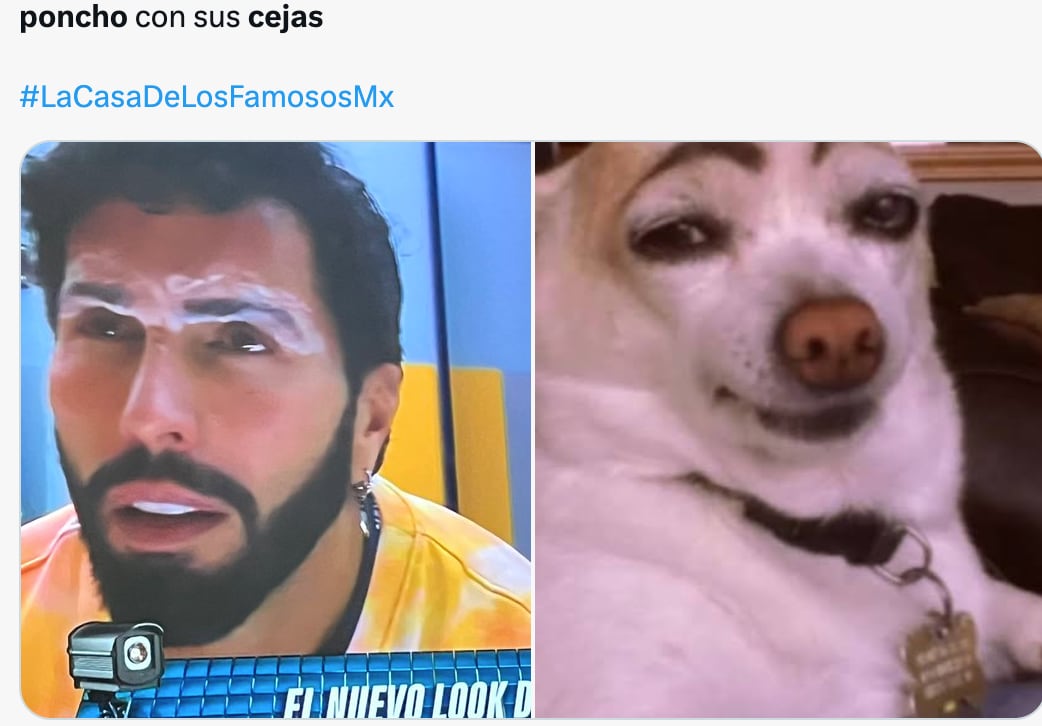 Poncho de Nigris y sus cejas desatan memes en redes sociales