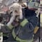 Perrito es rescatado de escombros tras explosión en la Pensil