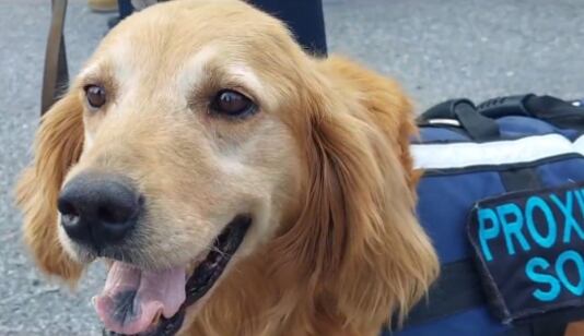 Sky, perrita de la policía de Saltillo