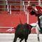 Buscan construir nueva plaza de toros en León