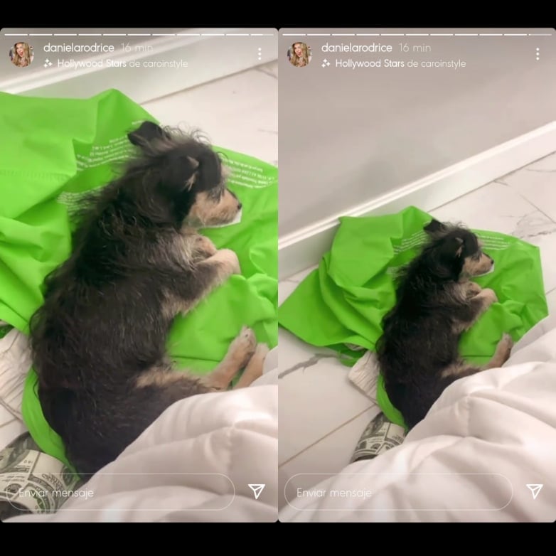 Daniela Rodrice enseña a su perro Tiko.