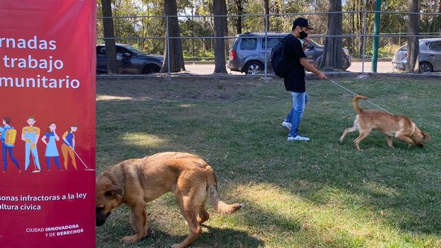 Cuidado animal como trabajo comunitario