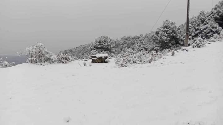 Las mejores fotos de la caída de nieve en el cerro de Jocotitlán