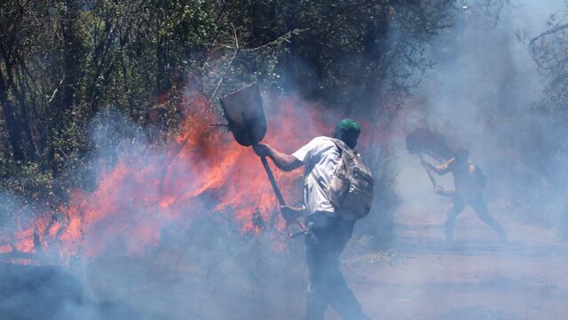 Incendio forestal en México