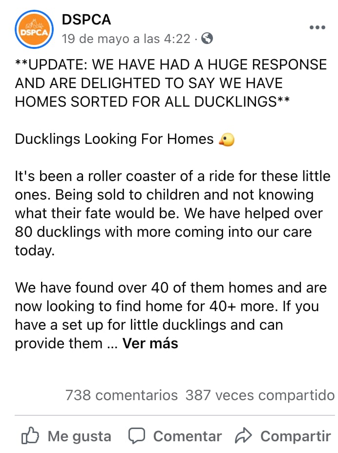 Abandono de patos