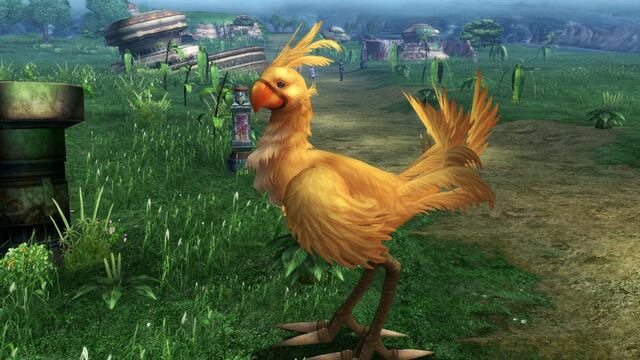 Chocobo