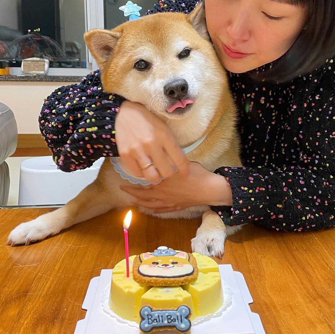 Cheems, el perrito de los memes