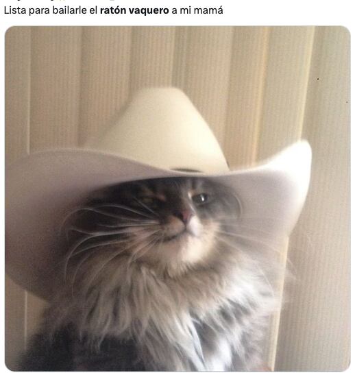 Memes ya festejan el Día de las madres este 10 de mayo