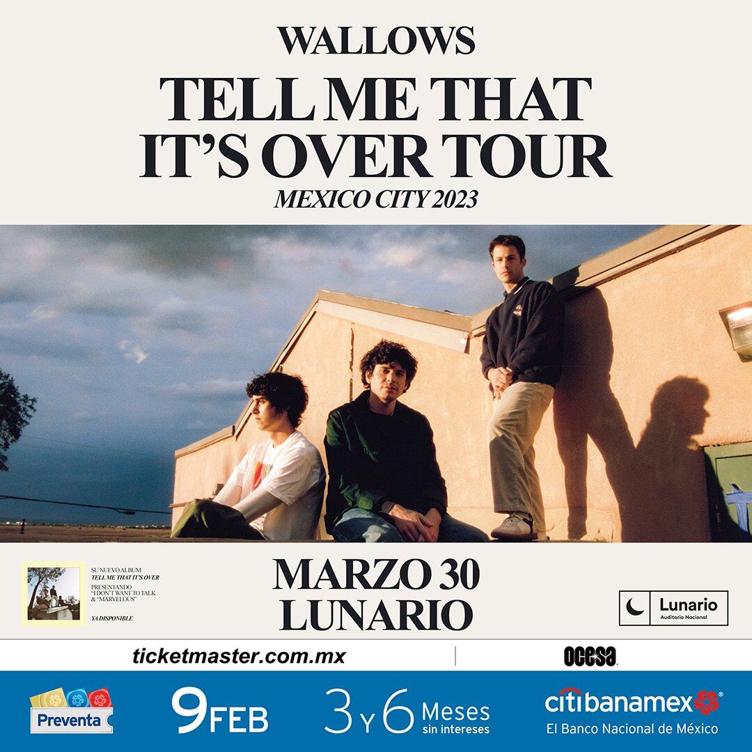 Wallows en México: Precio de los boletos para su concierto en Lunario