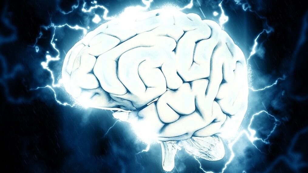 Cerebro