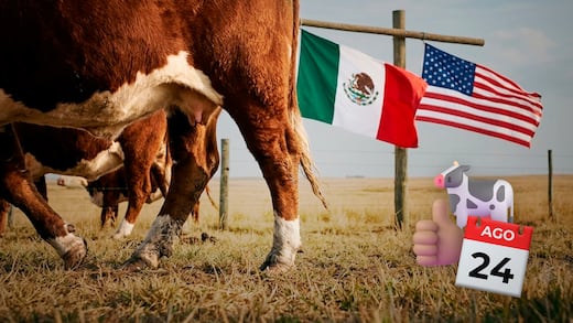 Estados Unidos reabrirá la frontera al ganado mexicano el 24 de agosto