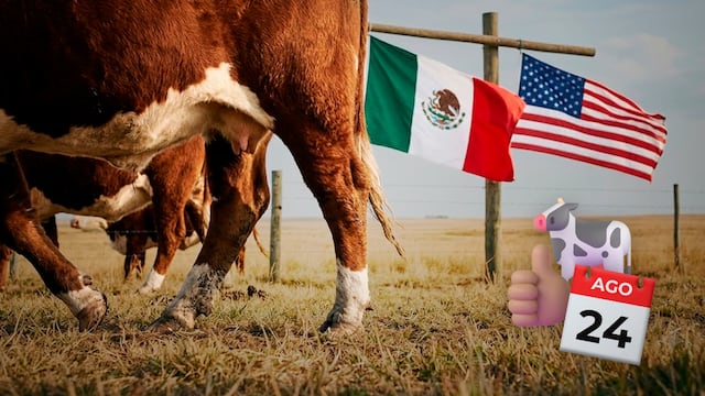 Estados Unidos reabrirá la frontera al ganado mexicano el 24 de agosto