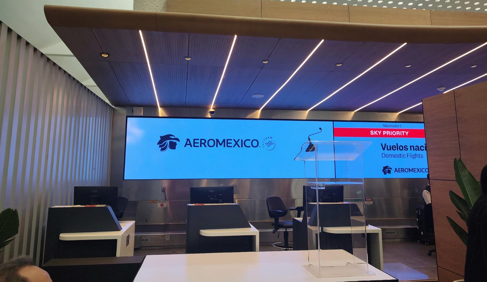 Aeroméxico. Renovación. Foto: Ximena Garmendia