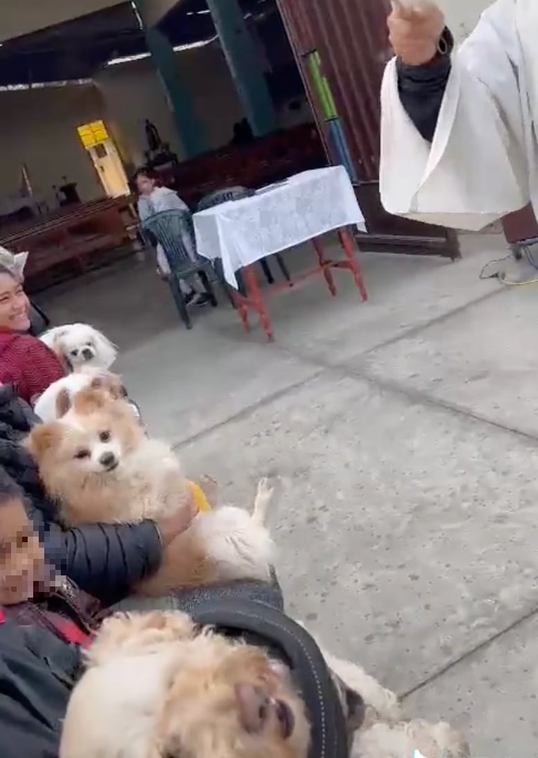 Reacción del perrito en misa