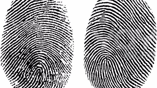 Con este método se puede identificar el sexo de una persona a partir de su huella dactilar con una seguridad del 99%