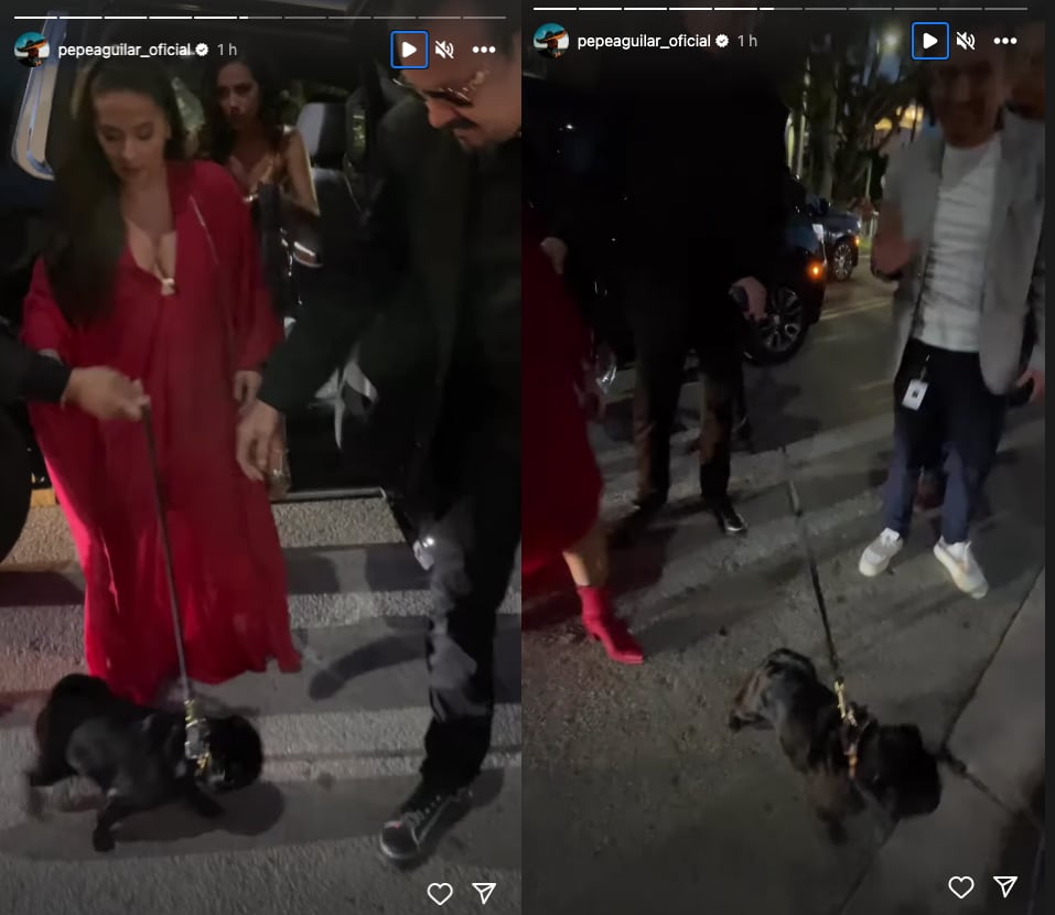 Pepe Aguilar acude con su perro Gordo a los Premios Billboard 2023