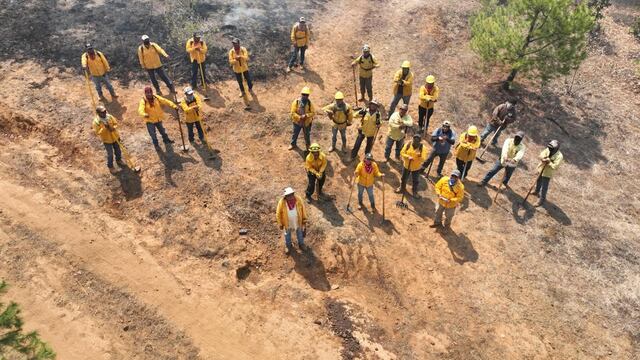 Michoacán combate incendios forestales