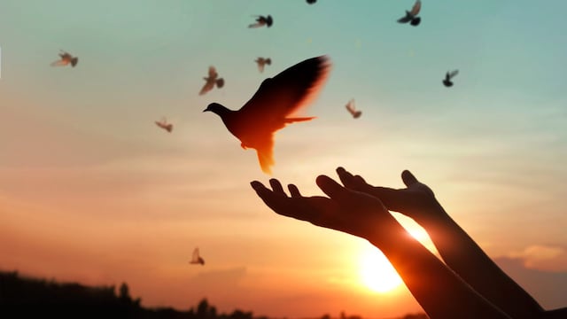 20 frases cortas para celebrar el Día Internacional de la Paz hoy 21 de septiembre