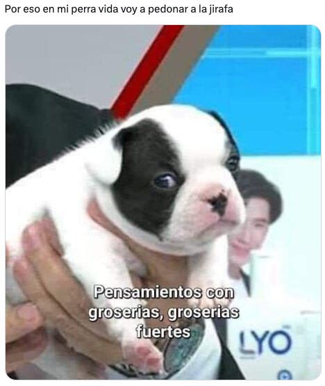 Jugadores de Tsuki Odyssey no perdonan a la jirafa Chi por robar las cosas del abuelo