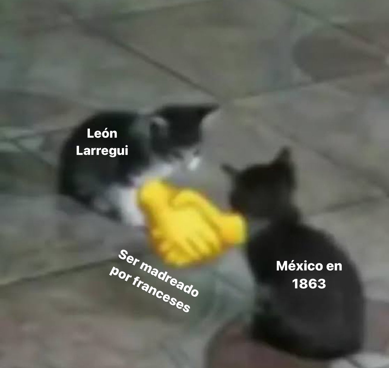 Memes de León Larregui golpeado en París