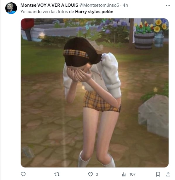 Memes por Harry Styles pelón