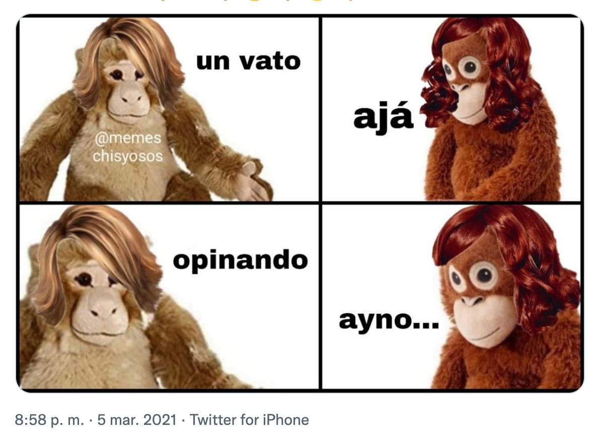 Meme del orangután 'Lupe'