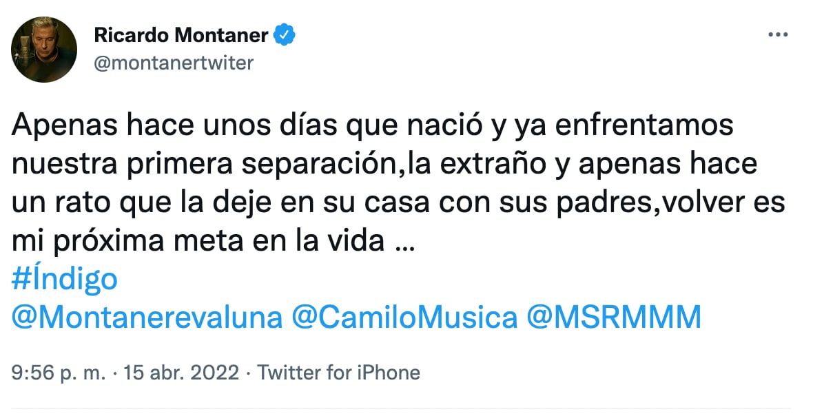 Ricardo Montaner estaba triste por separarse de índigo